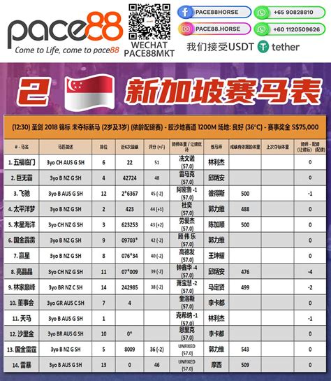 sg race card|Race Result .